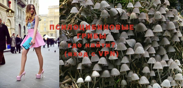 герыч Ладушкин